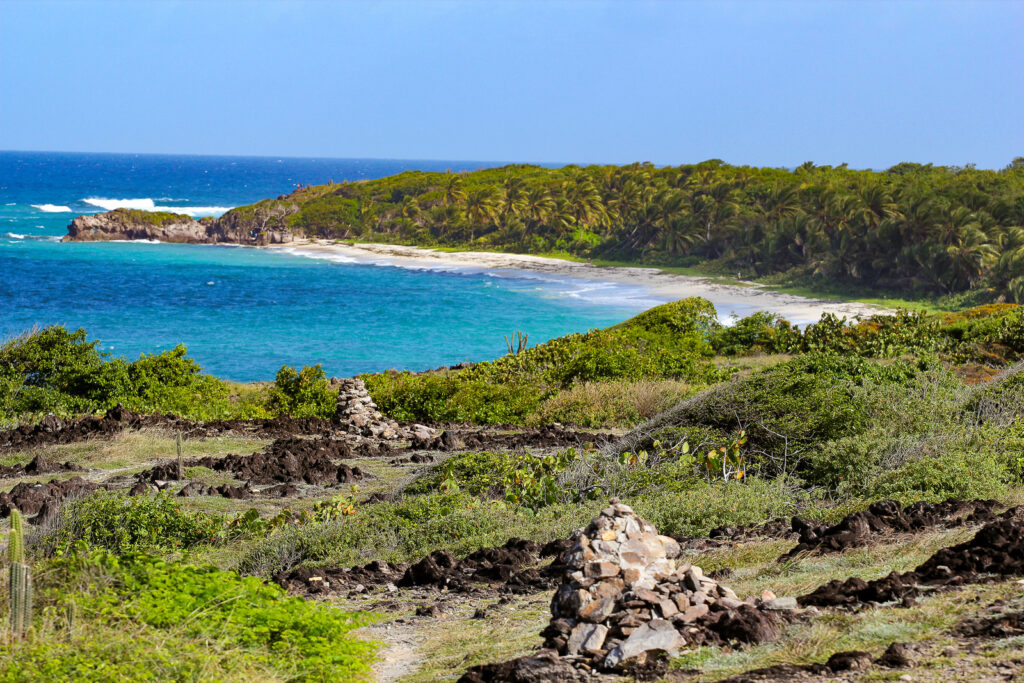l anse grosse roche bordee de cocotiers et constituant l une des dix plus belles plages de la martinique